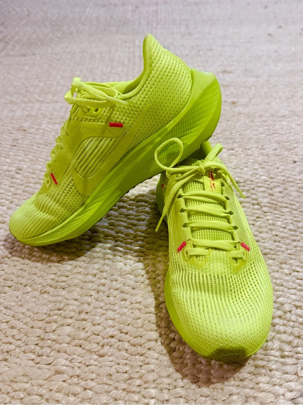Women’s Nike Pegasus 40
